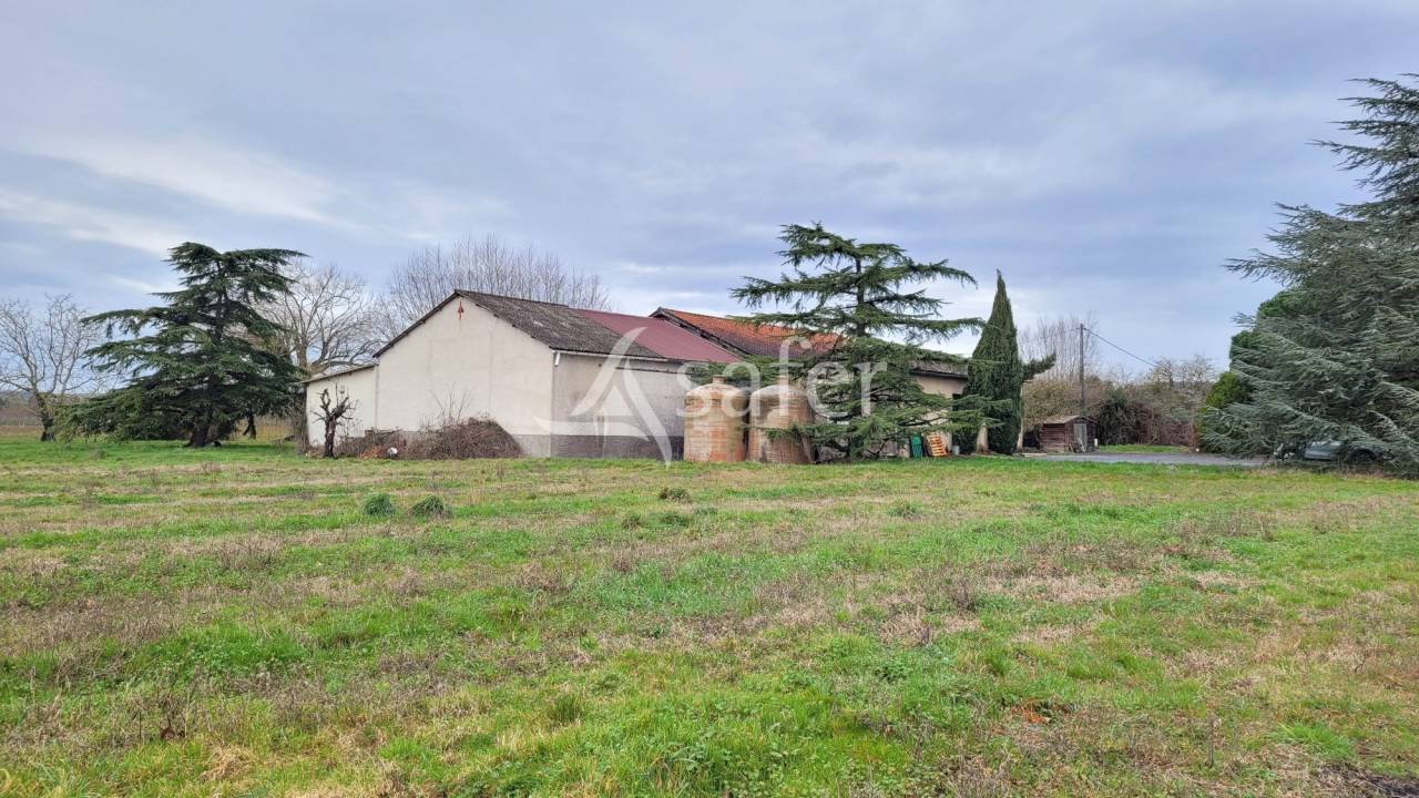 Explotaci&oacute;n cerealista En venta Tarn