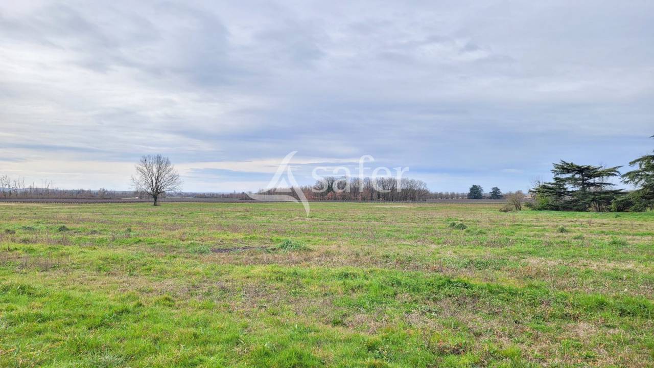 Explotaci&oacute;n cerealista En venta Tarn