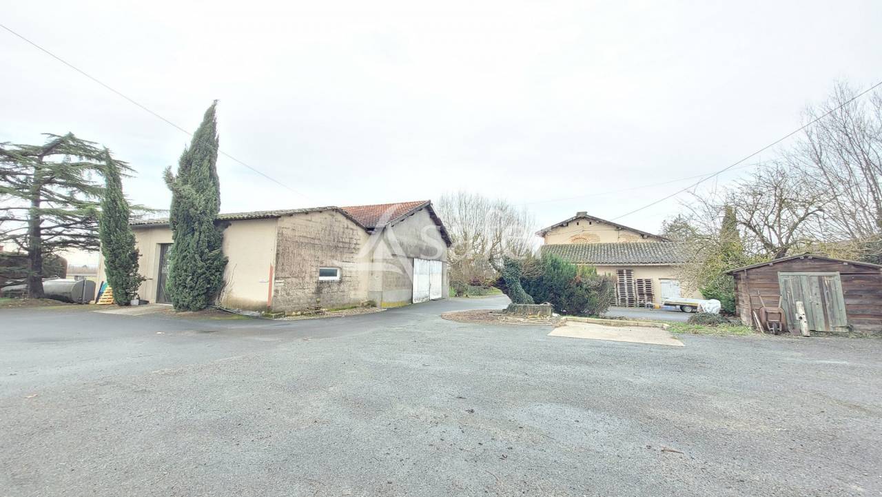 Explotaci&oacute;n cerealista En venta Tarn