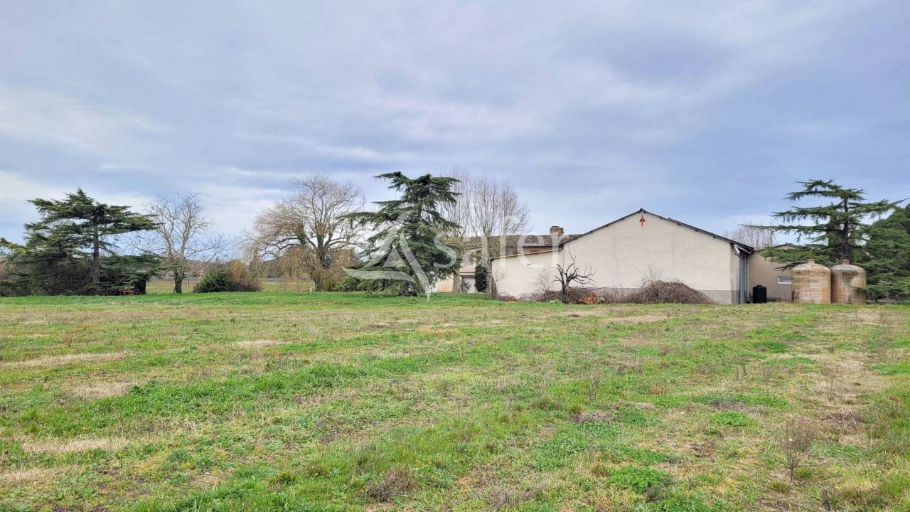 Explotaci&oacute;n cerealista En venta Tarn