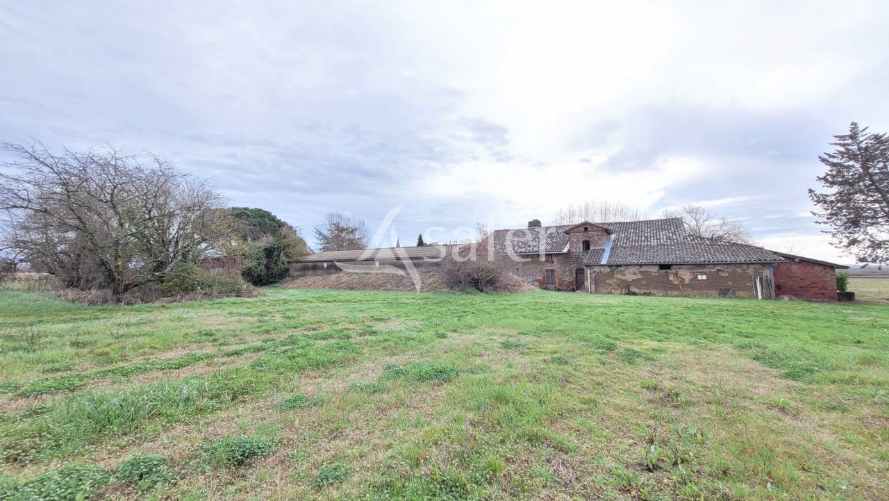 Explotaci&oacute;n cerealista En venta Tarn