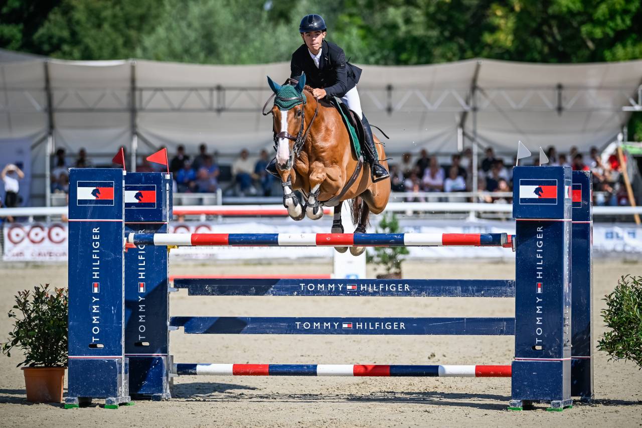 Caballo castrado Silla Franc&eacute;s En venta 2016 Alaz&aacute;n por EPSOM GESMERAY