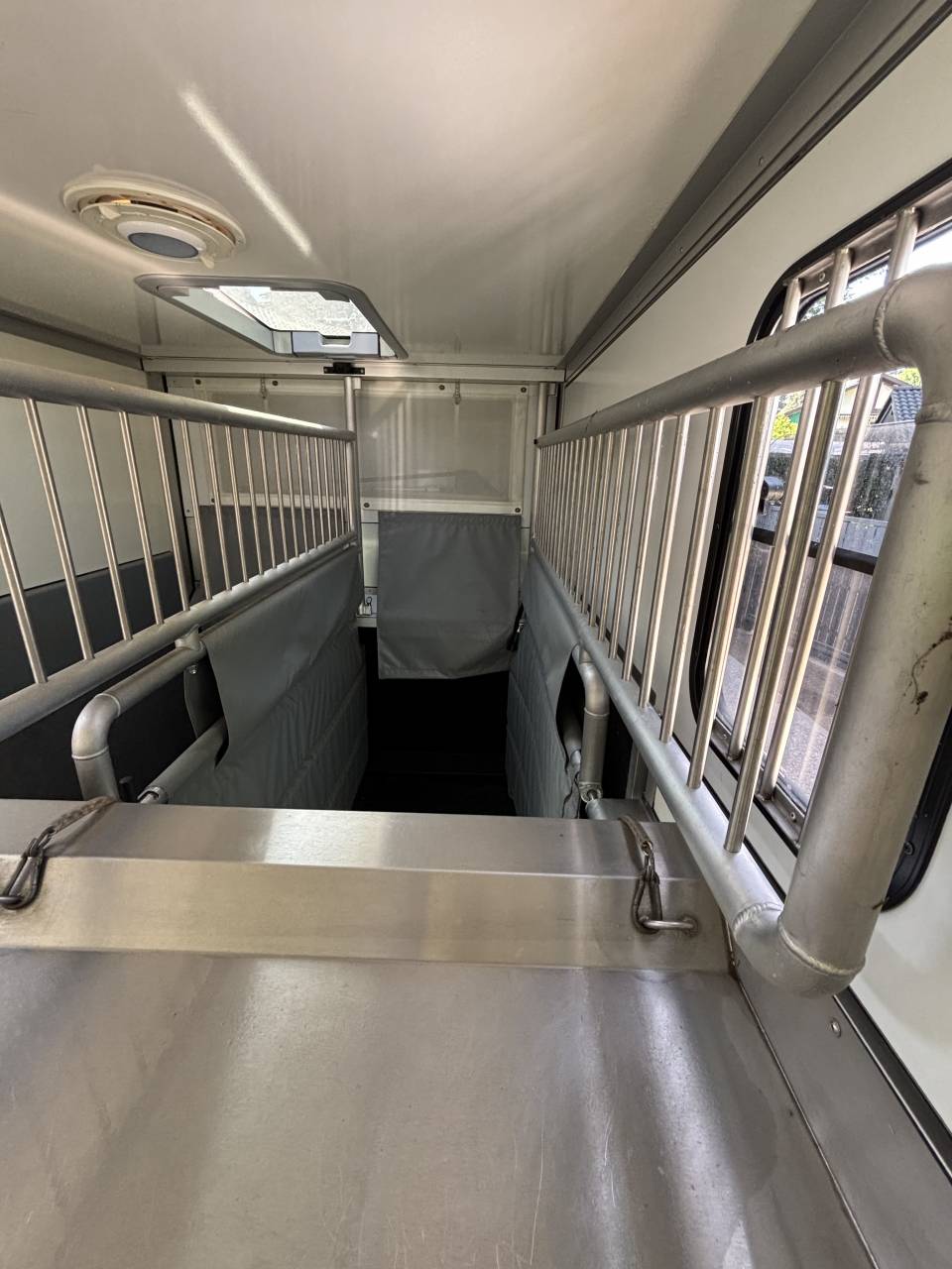 Furgoneta para caballos Peugeot MSG Peugeot Boxer 2020 De segunda mano