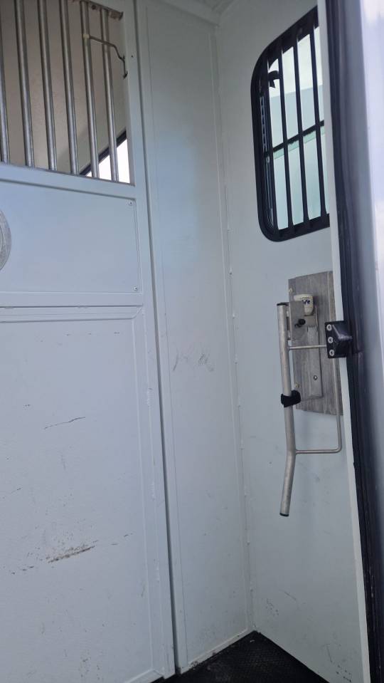 Furgoneta para caballos Theault peugeot  master 2013 De segunda mano