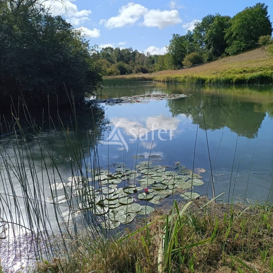 Propiedad ecuestre En venta Charente