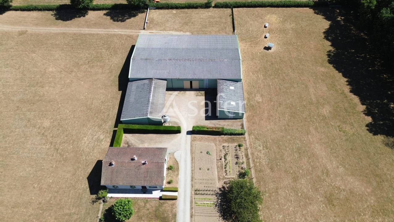 Explotaci&oacute;n ovina En venta Charente