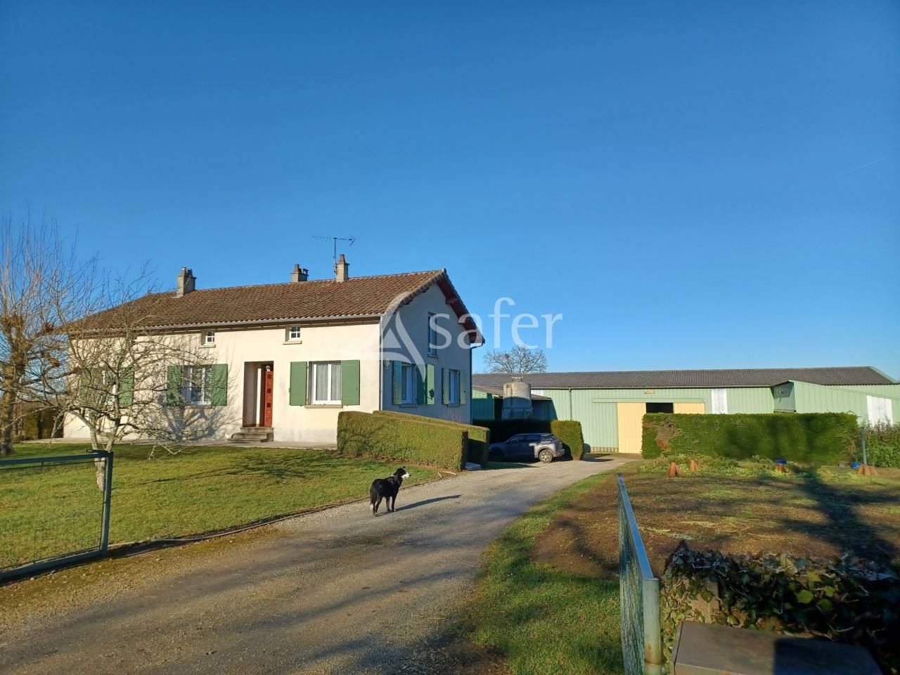 Explotaci&oacute;n ovina En venta Charente