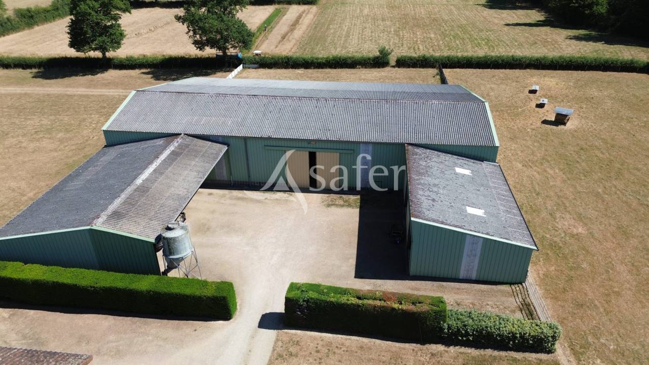 Explotaci&oacute;n ovina En venta Charente