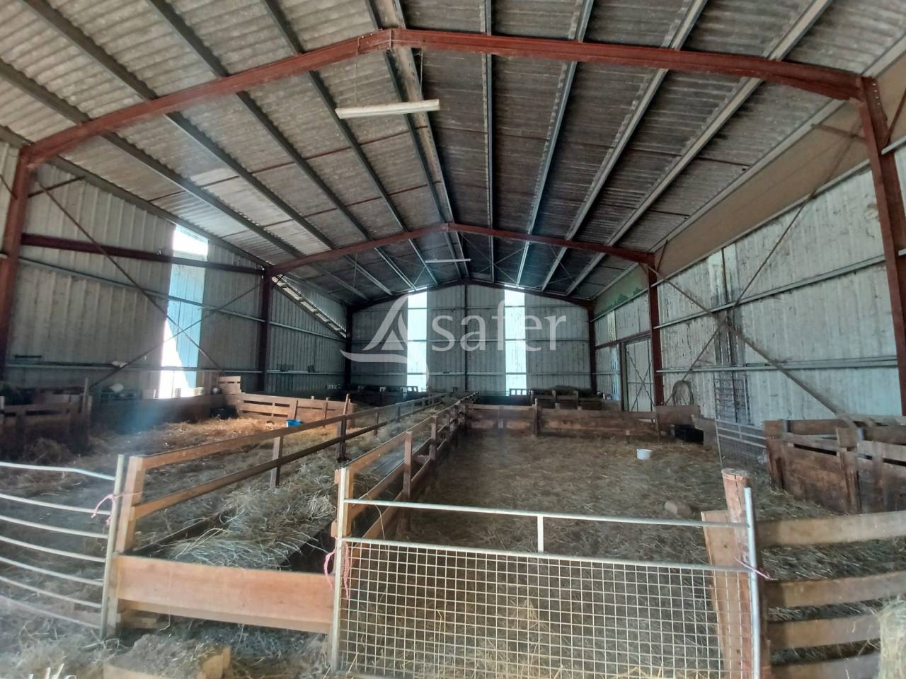 Explotaci&oacute;n ovina En venta Charente