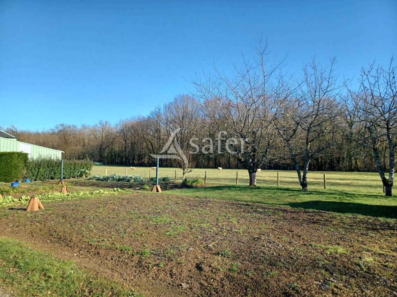 Explotaci&oacute;n ovina En venta Charente