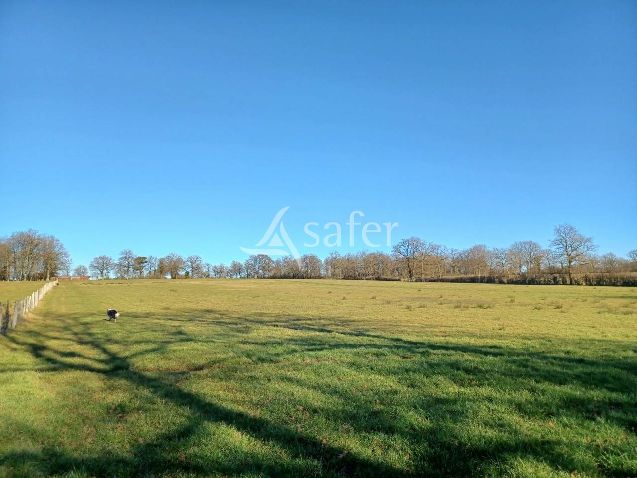 Explotaci&oacute;n ovina En venta Charente