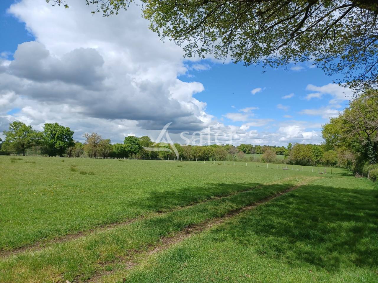 Explotaci&oacute;n ovina En venta Charente