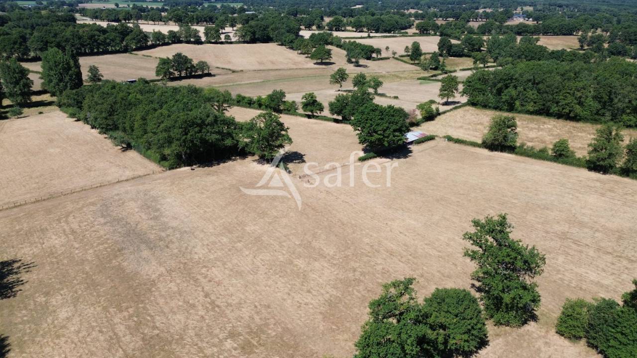 Explotaci&oacute;n ovina En venta Charente