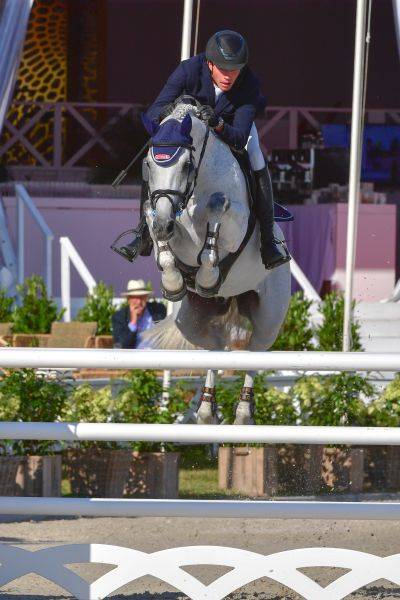 Potranca Zangersheide En venta 2025 Tordo