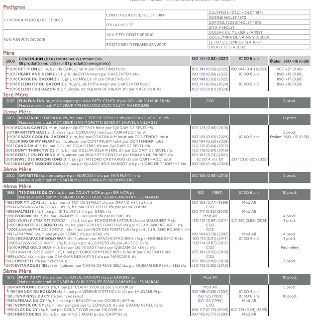 Potro Origine Constat&eacute;e En venta 2025 Bayo