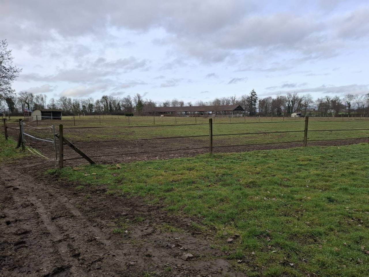 Cuadra de propietarios En alquiler Cher