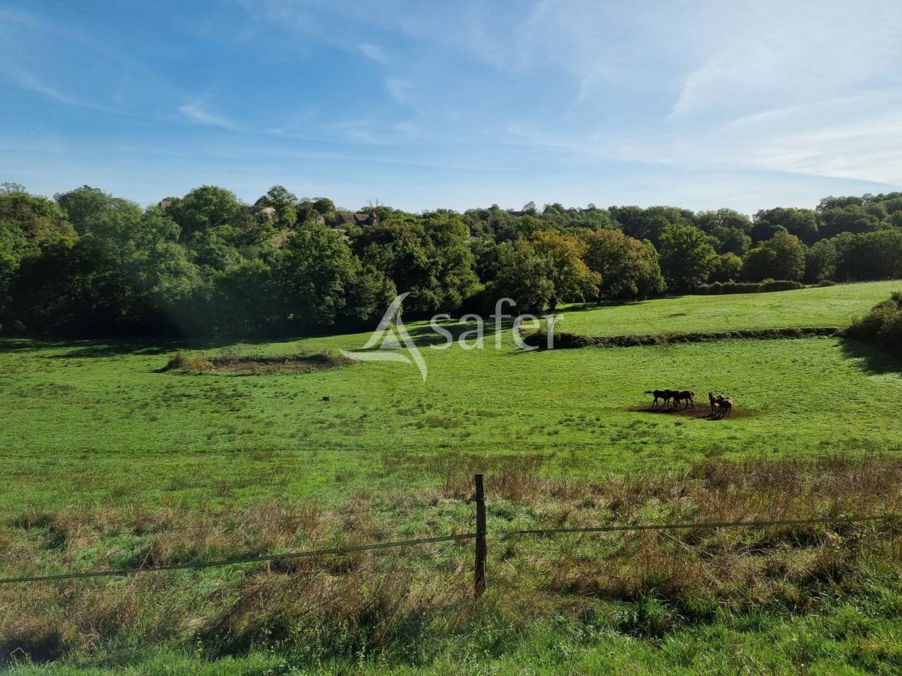 Explotaci&oacute;n agr&iacute;cola En venta Lot