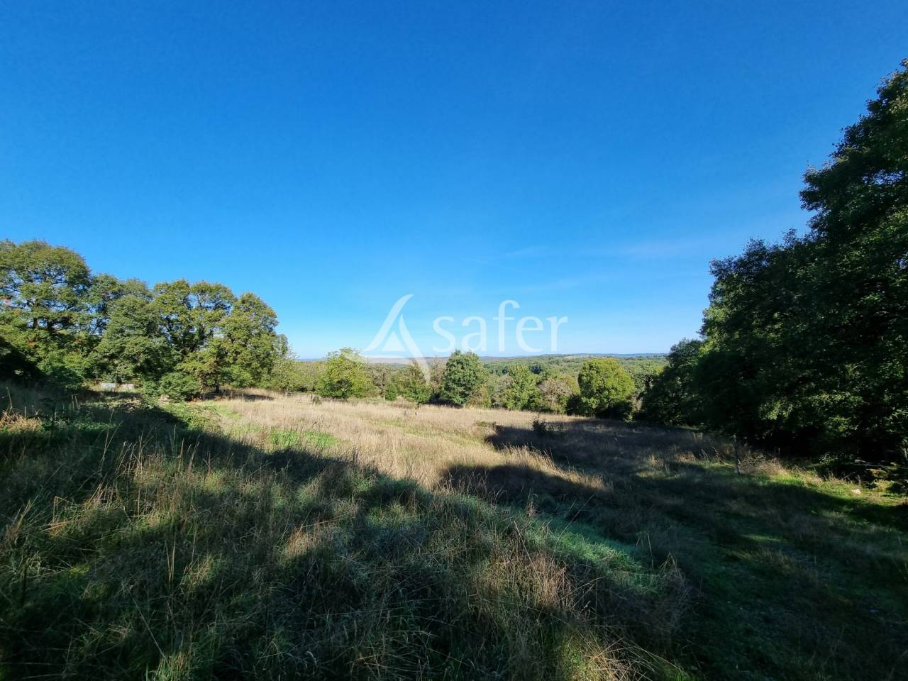 Explotaci&oacute;n agr&iacute;cola En venta Lot