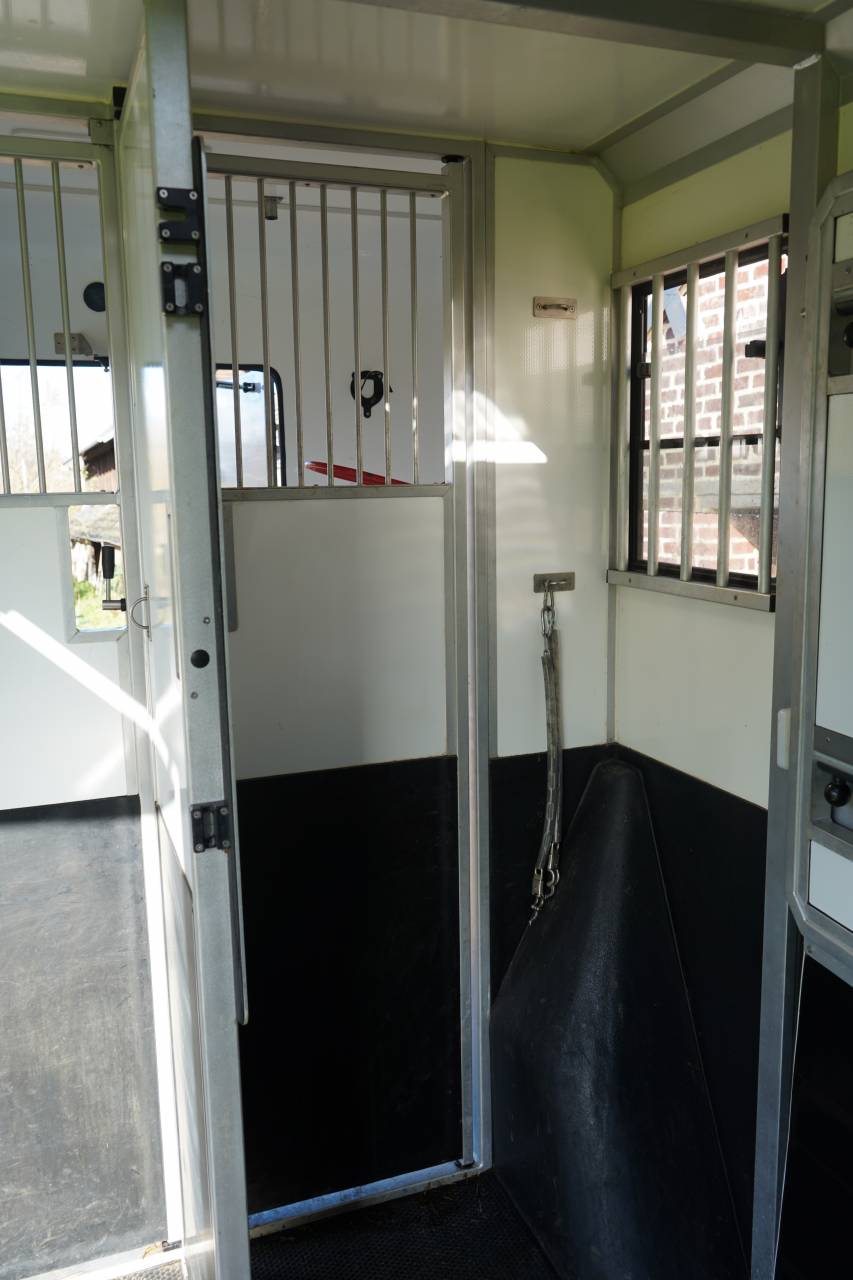 Furgoneta para caballos Opel STX movano 2024 De segunda mano