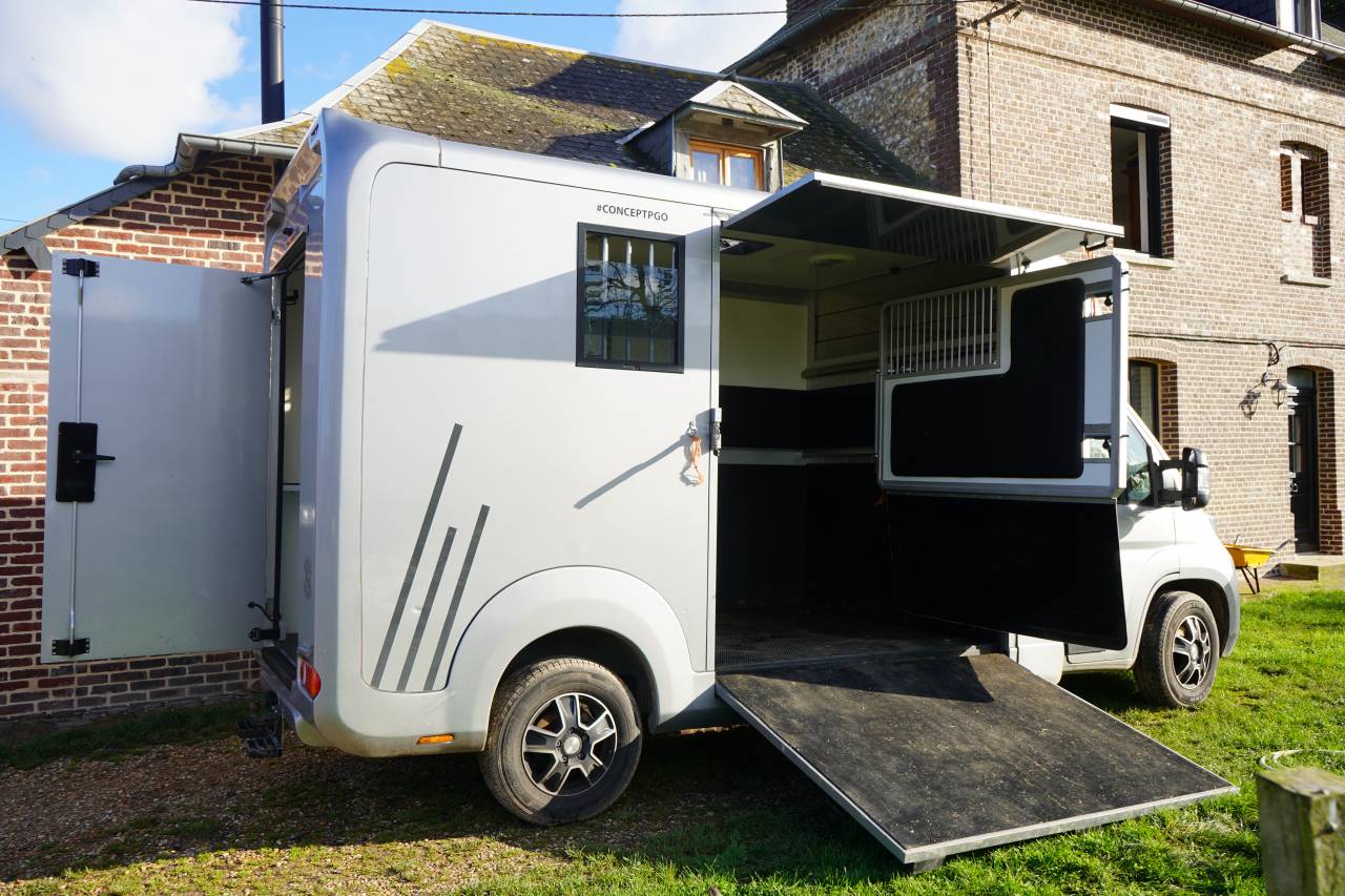 Furgoneta para caballos Opel STX movano 2024 De segunda mano
