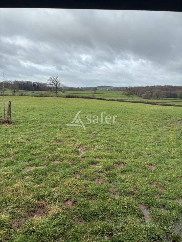 Propiedad ecuestre En venta Saona y Loira