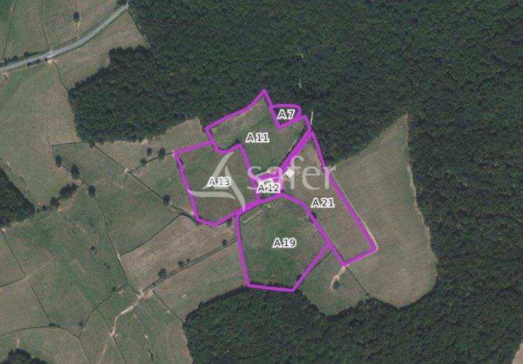 Propiedad ecuestre En venta Saona y Loira