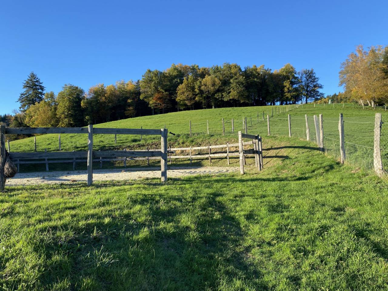 Albergue ecuestre En venta Puy-de-D&ocirc;me
