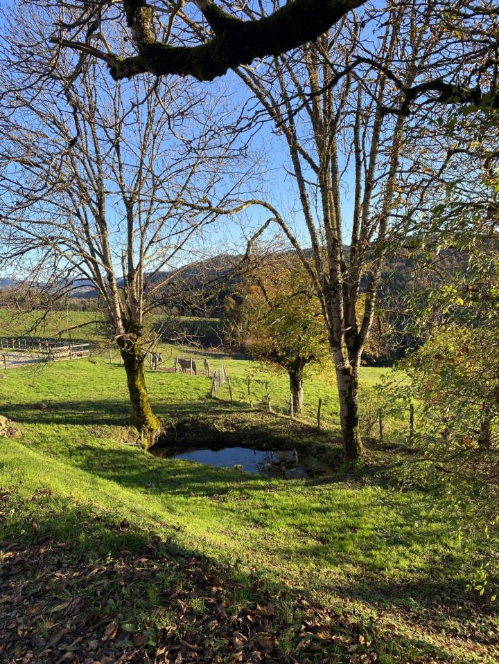 Albergue ecuestre En venta Puy-de-D&ocirc;me
