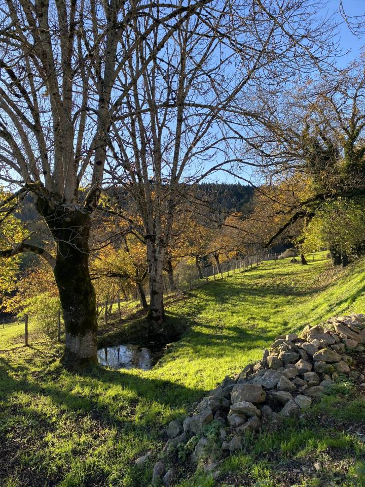 Albergue ecuestre En venta Puy-de-D&ocirc;me