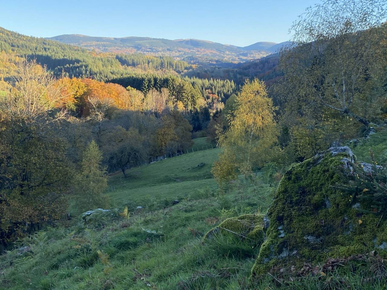 Albergue ecuestre En venta Puy-de-D&ocirc;me