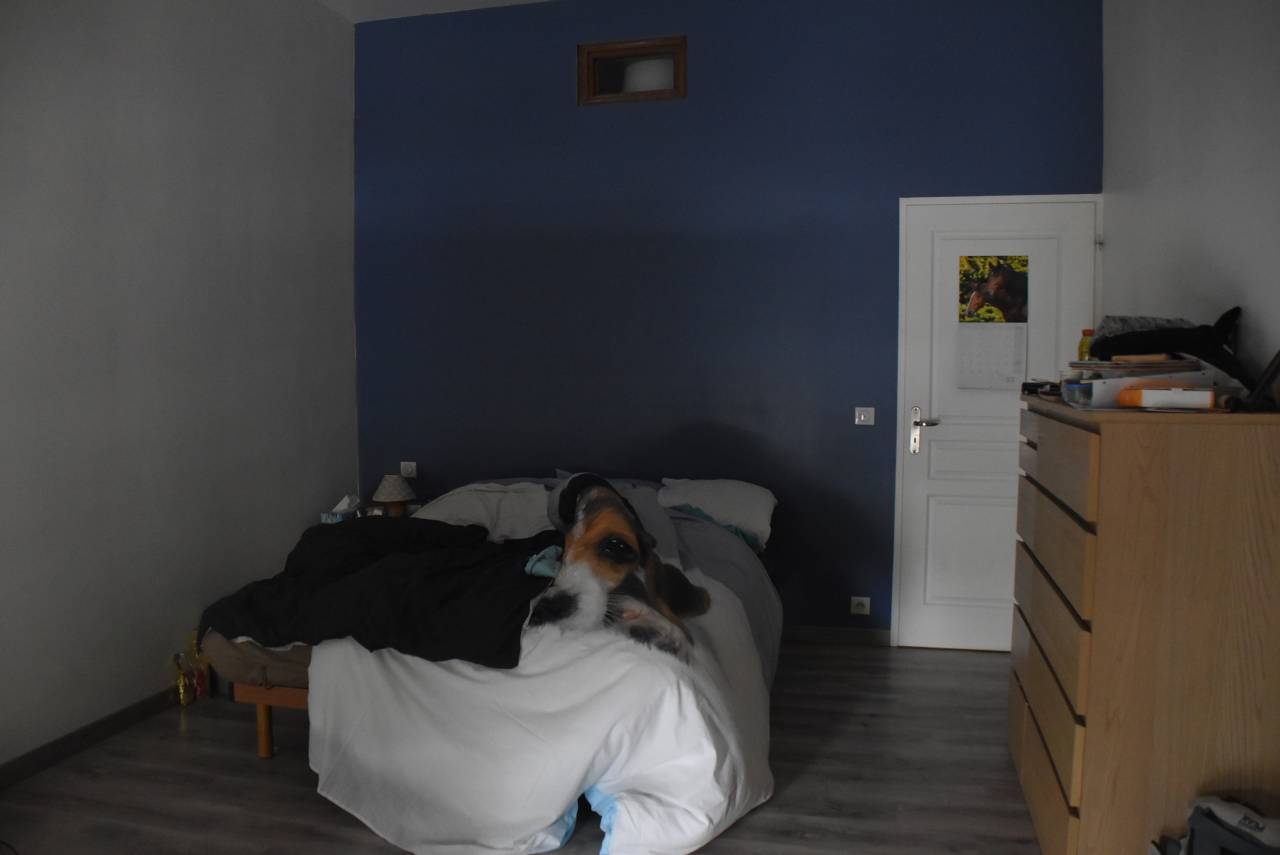 Propiedad ecuestre En venta Lot