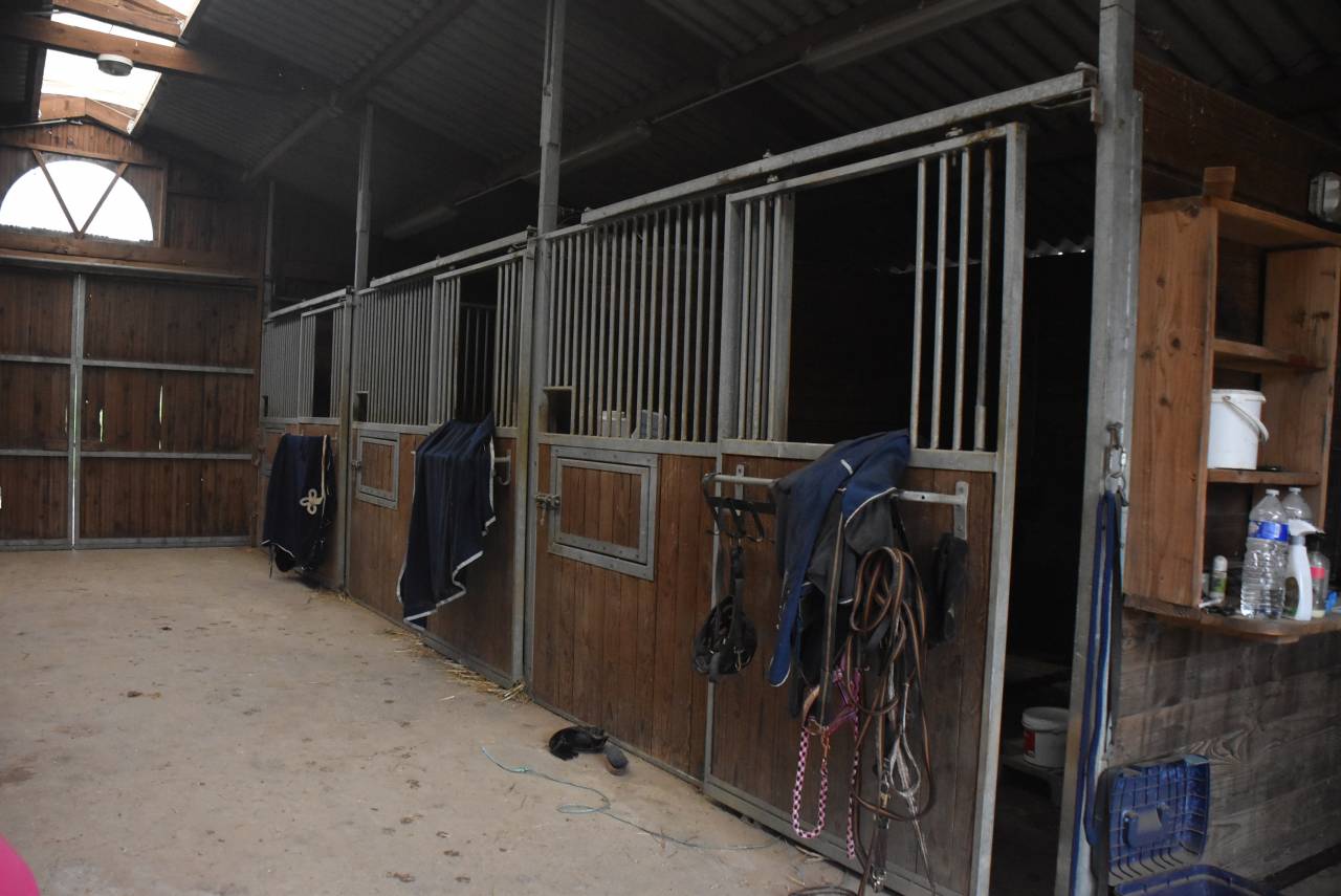 Propiedad ecuestre En venta Lot