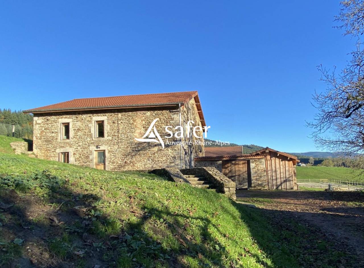 Explotaci&oacute;n porcina En venta Puy-de-D&ocirc;me