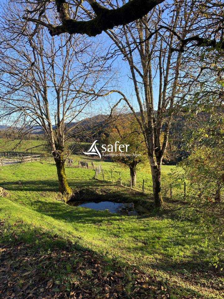 Explotaci&oacute;n porcina En venta Puy-de-D&ocirc;me