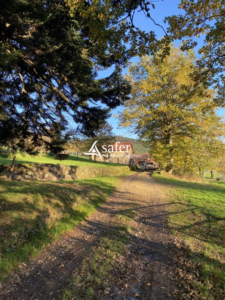 Explotaci&oacute;n porcina En venta Puy-de-D&ocirc;me