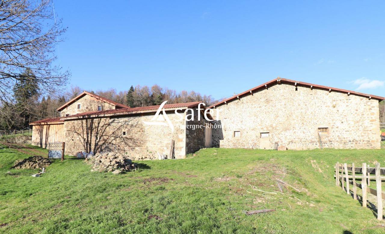 Explotaci&oacute;n porcina En venta Puy-de-D&ocirc;me