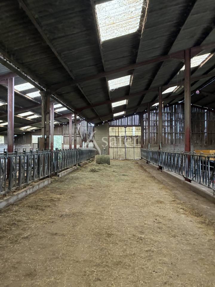 Explotaci&oacute;n cerealista En venta Saona y Loira