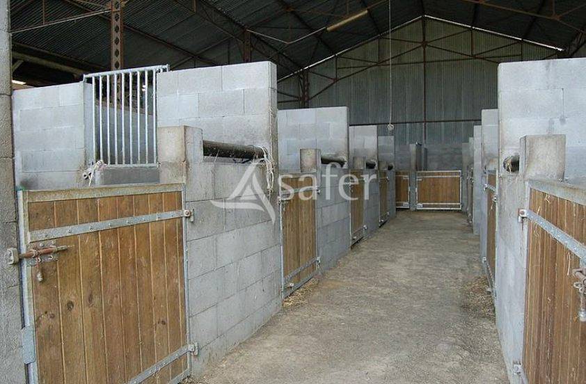 Propiedad ecuestre En venta Mayenne