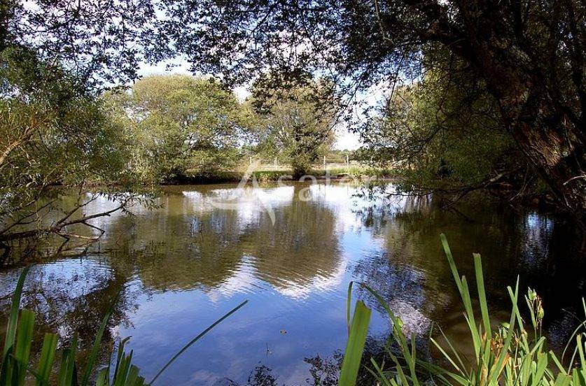 Propiedad ecuestre En venta Mayenne