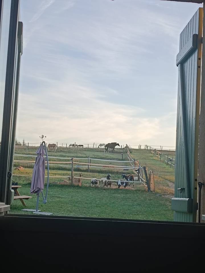 Comercio En venta Alto Garona