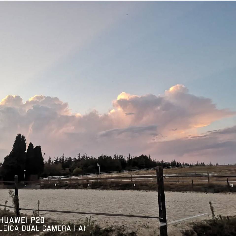 Comercio En venta Alto Garona