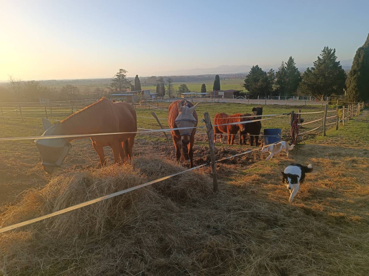 Comercio En venta Alto Garona