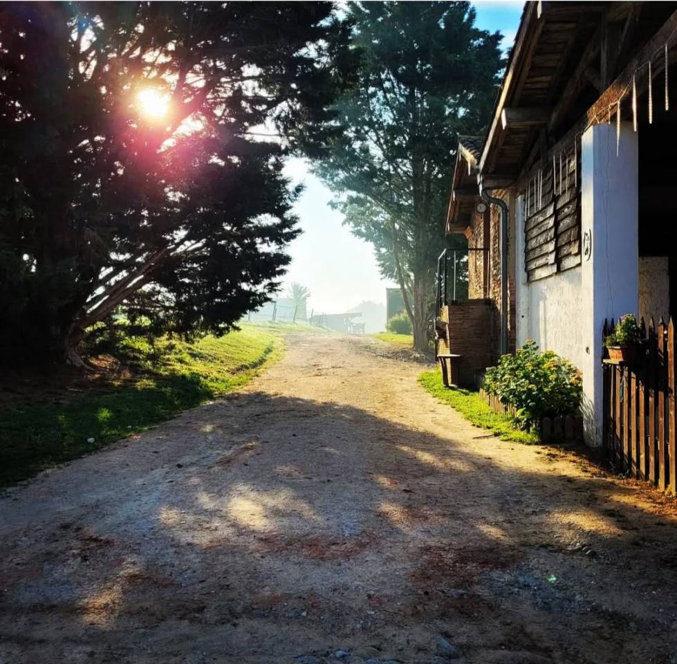 Comercio En venta Alto Garona