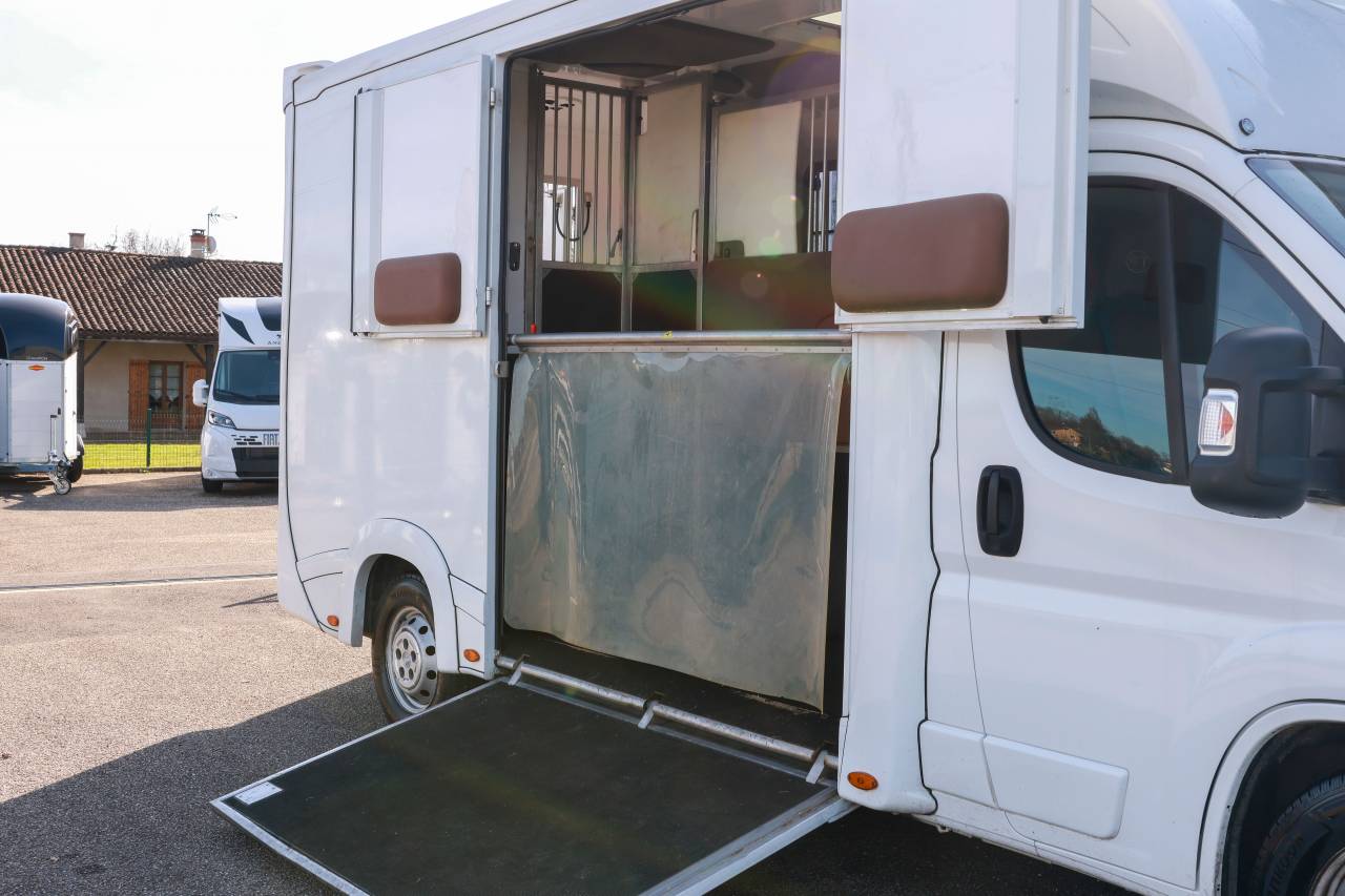 Furgoneta para caballos Peugeot BOXER 2021 De segunda mano