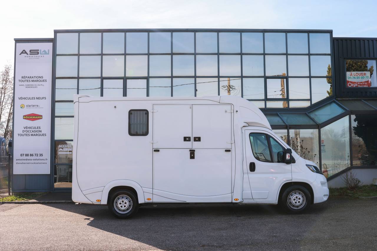 Furgoneta para caballos Peugeot BOXER 2021 De segunda mano