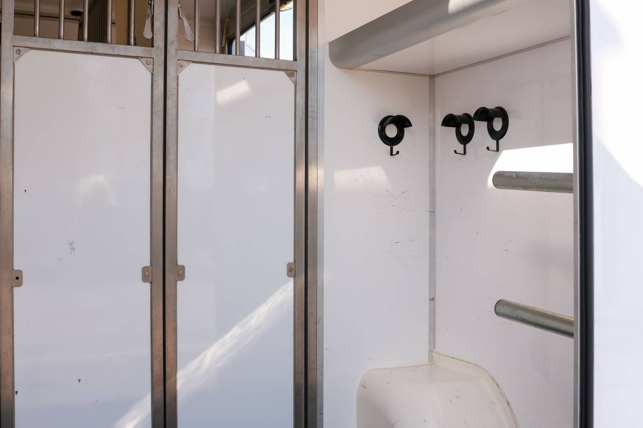 Furgoneta para caballos Peugeot BOXER 2021 De segunda mano