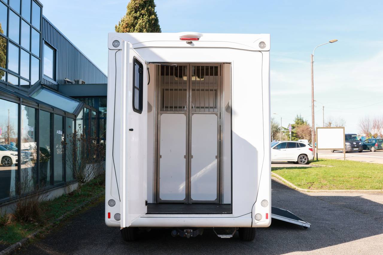 Furgoneta para caballos Peugeot BOXER 2021 De segunda mano