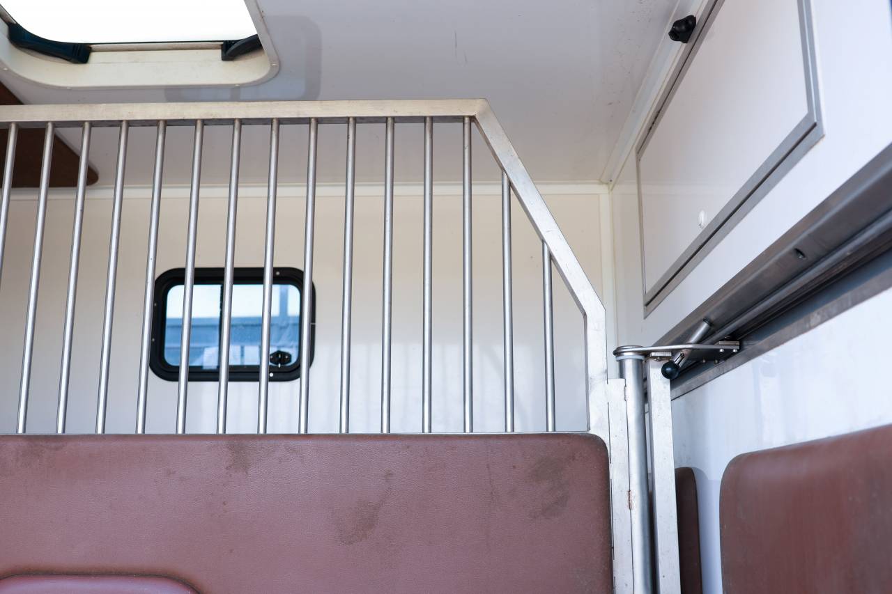 Furgoneta para caballos Peugeot BOXER 2021 De segunda mano