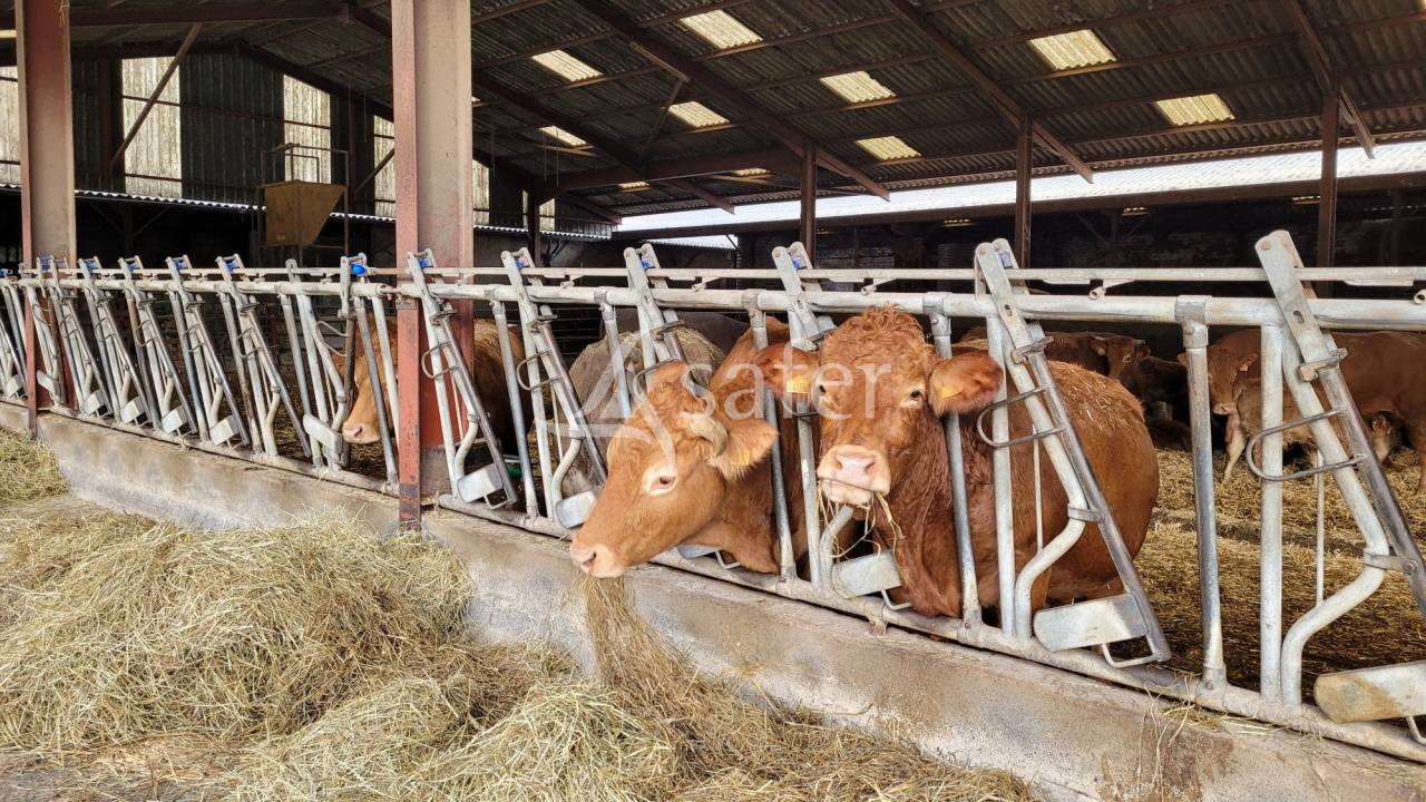 Explotaci&oacute;n ovina En venta Tarn