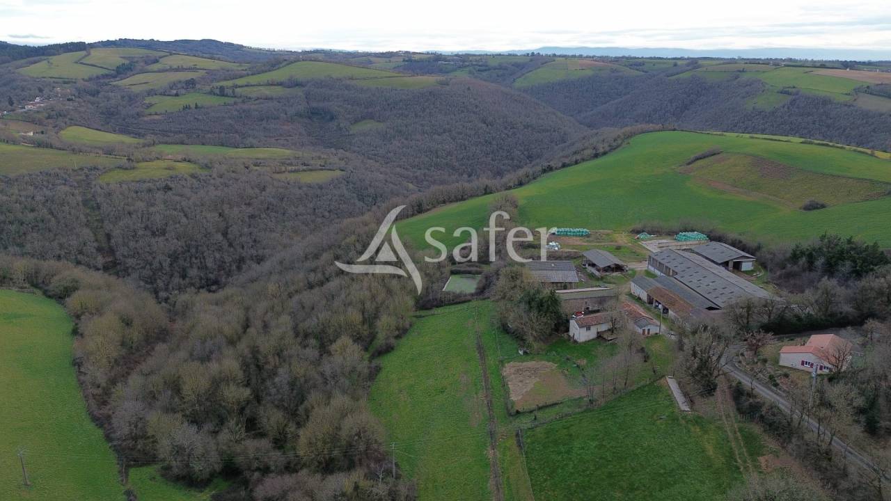 Explotaci&oacute;n ovina En venta Tarn